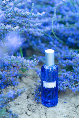 Lavender field with essence products bottleの写真素材