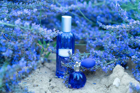 Lavender field with essence products two bottles