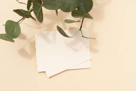 Tropical summer stationery mock-up scene. Blank business card, green eucaliptus leaves, beige textured table background. Flat lay, top viewの写真素材