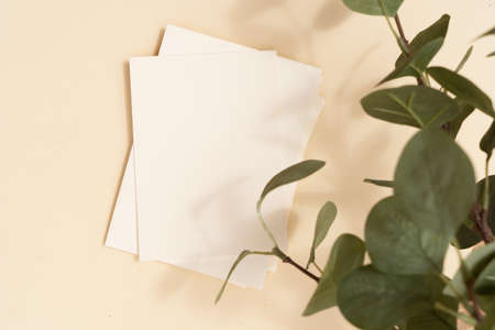 Tropical summer stationery mock-up scene. Blank business card, green eucaliptus leaves, beige textured table background. Flat lay, top viewの写真素材