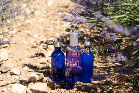 Lavender summer field with essence products bottles