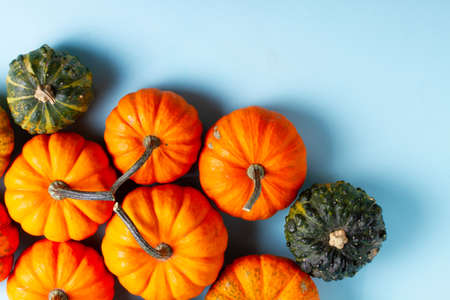 Pile of orange and green pumpkins, border on blue backgroundの写真素材
