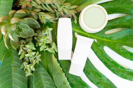 green tropical lush with cosmetic products samples in tubes, top viewの写真素材