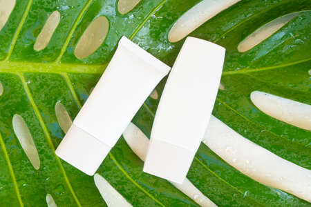 green lush with cosmetic products samples in two tubesの写真素材