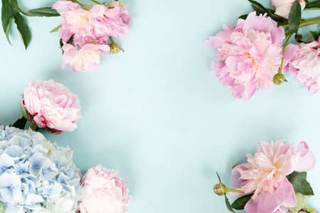 Beautiful fresh pink peony and hydrangea flowers frame on blue table with copy space for your text, top view and flat lay backgroundの写真素材