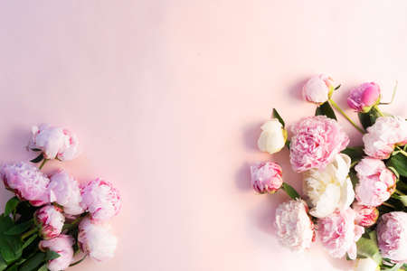 wreath of pink and white peony flowers with copy space for text on pink background. Flat lay, top view. Peony flower textureの写真素材