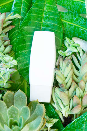 green tropical lush with cosmetic products sample in tube