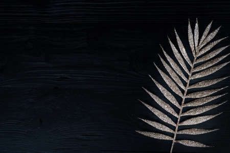 Golden tropial palm leaves on black backgroundの写真素材