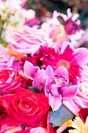 Natural macro background of fresh mixed flowers bouquet