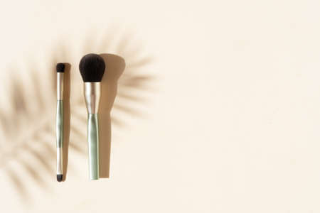 Minimal modern cosmetic scene with make up brushes and shadow overlayの写真素材