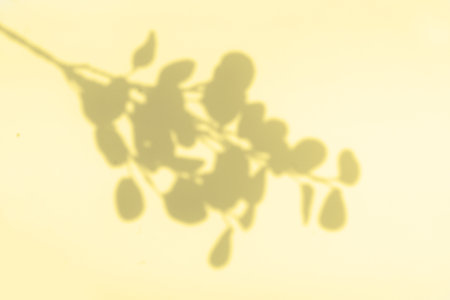 Shadow of leaves on the wall, summer relax background in ywloow colorの写真素材