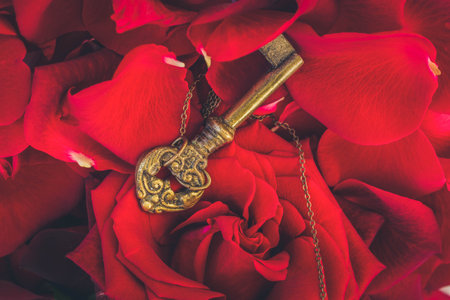 Key with the red blooming rose and fresh petals as a symbol of love, tonedの写真素材