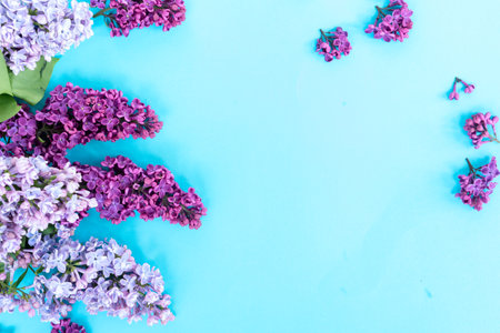 Fresh violet lilac flowers border over blue background with copy space, flat lay floral compositionの写真素材