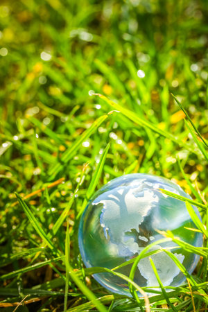 Glass globe with North America in fresh grass concept for environment, toned