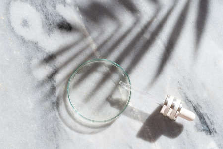 Glass petri dish with transparent pure serum for skin care on white background, top view. Concept laboratory tests and research, making natural organic cosmetic, shadow overlayの写真素材