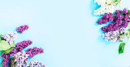 Fresh violet lilac flowers border over blue background, flat lay floral composition, web banner...