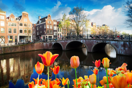 Dutch scenery with canal and mirror reflections at spring with flowers, Amsterdam, Netherlandsの写真素材