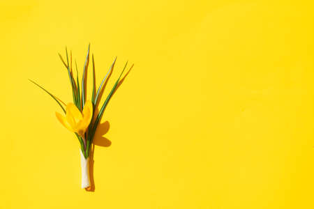 Easter scene with white eggsの写真素材