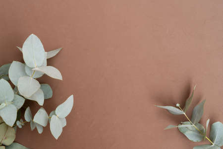 almond tree bloom