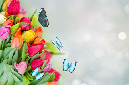 bunch of spring tulips on blue