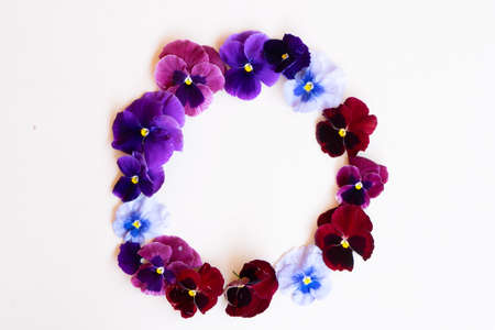 pansies styled stock sceneの写真素材