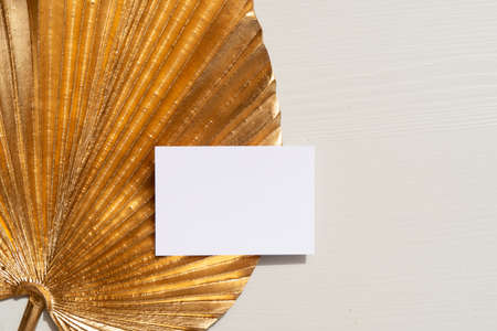 Golden leaves styled stock sceneの写真素材