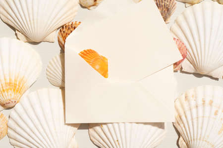 Sea shells styled stock sceneの写真素材