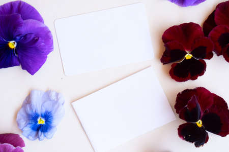 Pansy flowers styled stock sceneの写真素材