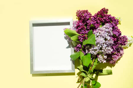 Lilac flowers on yellow backgroundの写真素材