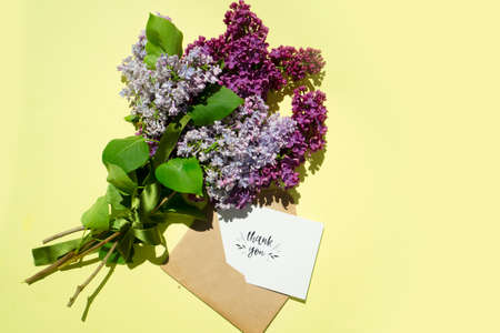 Lilac flowers on yellow backgroundの写真素材