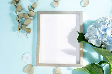 Hydrangea blue flowers