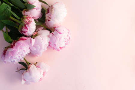 Fresh peony flowersの写真素材