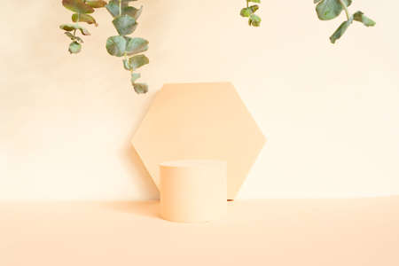 Minimal modern product display on beige background with podium and eucaliptus leavesの写真素材