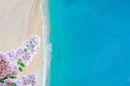 Beautiful clear deep water and white beach and flowers, background of Zakinthos island, Greeceの写真素材