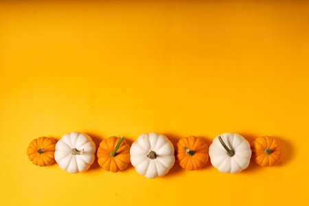 Row of white and orange pumpkins on brigh orange backgroundの素材 [FY310173267950]