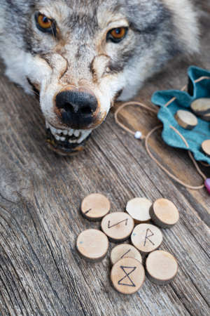 Handmade runes for fortunetelling with wolf head close up