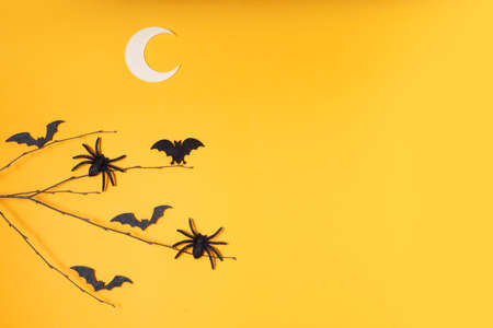 Halloween flat lay top view scene with bats and spiders on bright orange background banner with copy spaceの写真素材