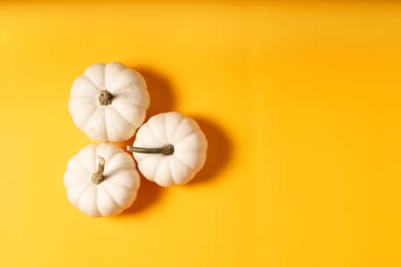 White pumpkins on orange background with copy spaceの写真素材