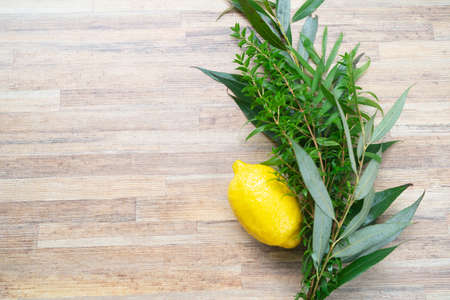 Happy Sukkot - religion image of Jewish festival of Sukkot. Traditional symbols Etrog, lulav, hadas, arava on wooden table with copy spaceの写真素材