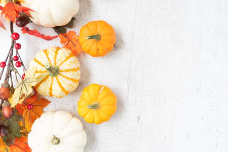 White and orange pumpkins with fall leaves on white wooden background with copy spaceの写真素材