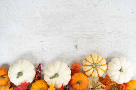 White and orange pumpkins border with fall leaves on white wooden background with copy space