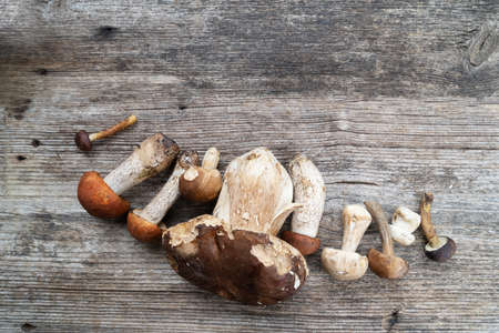 Basket of boletus mushrooms on wooden table background