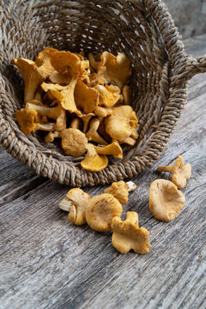 Row of chanterelle mushrooms in basket on wooden table backgroundの写真素材