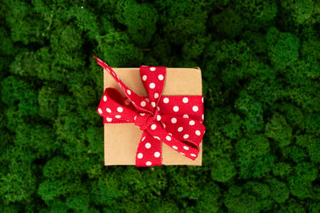 Cristmas gift giving - boxt with present over eco green moss, top viewの写真素材