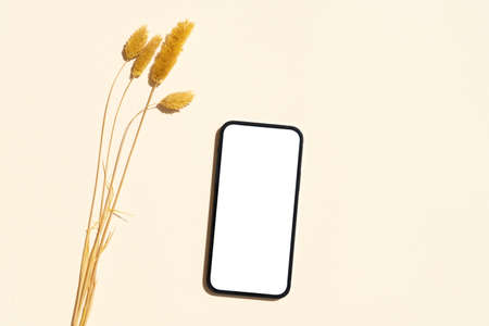 Champagne and grass styled stock scene in warm beige earth tones with odern phone mockupの写真素材