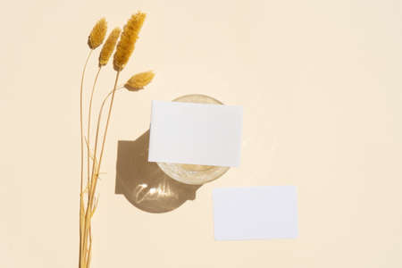 Pump grass styled stock scene in warm beige earth tones with cards for copy spaceの写真素材