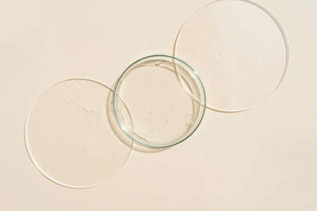 Glass petri dish with transparent pure serum for skin care on beige background, top view. Concept laboratory tests and researchの写真素材