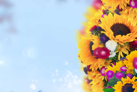 Sunflowers and aster fresh flowers border on defocused blue fall sky background