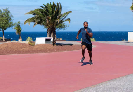 healthy sportsman running outdoors along beach with tropical palm trees on hot summer day with clear blue sky, male friends jogging in morning during vacation. Healthy life and wellness conceptの写真素材