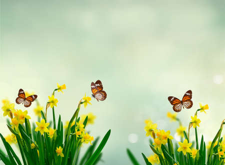 Yellow daffodil flowers over spring background with butterflies, copy spaceの写真素材